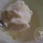 La faisselle avec ferment bio en sachet {test produit}
