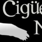 Partenaire: Olive & Bio Cigüena Negra
