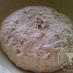 Pâte à pizza semi-complète