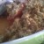 Crumble de tomates