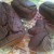 Gâteau léger au chocolat au tofu