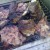 Boeuf bouilli au barbecue