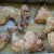 Poulet au citron