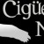 Partenaire: Olive & Bio Cigüena Negra