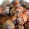 Bourguignon tomate et fines herbes (sac de cuisson)