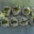 Boulettes de surimis pimentées – de Nouschka