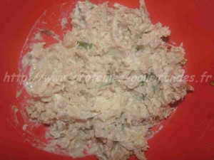 rillette de viande