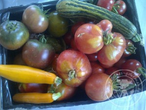 mini-IMG-20120822-05005