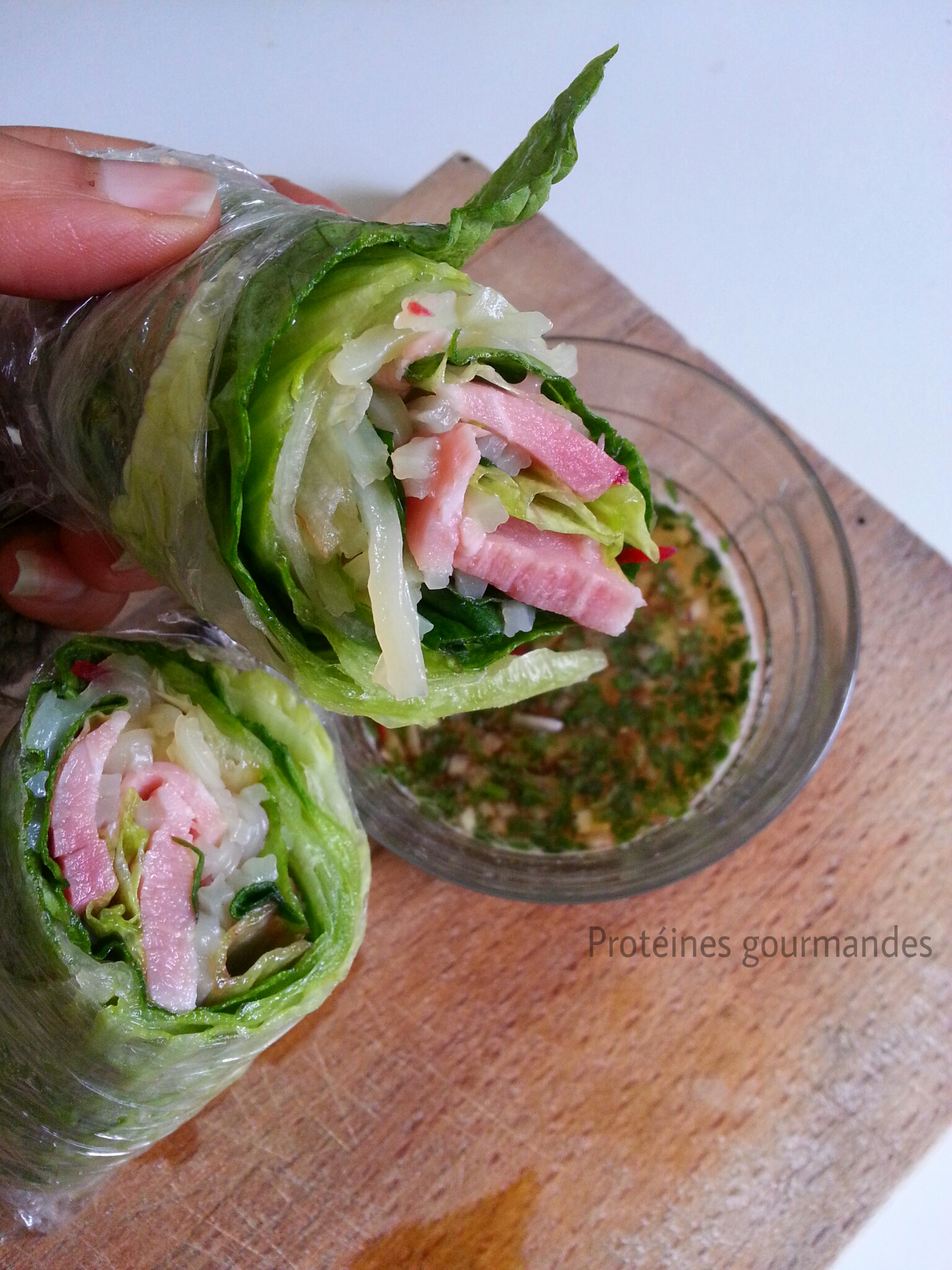 Rouleaux de printemps (sans galette de riz) Protéines-Gourmandes